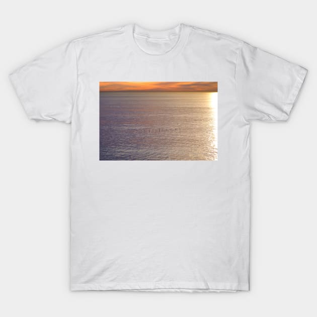 Laguna Niguel Study 1 T-Shirt by bobmeyers